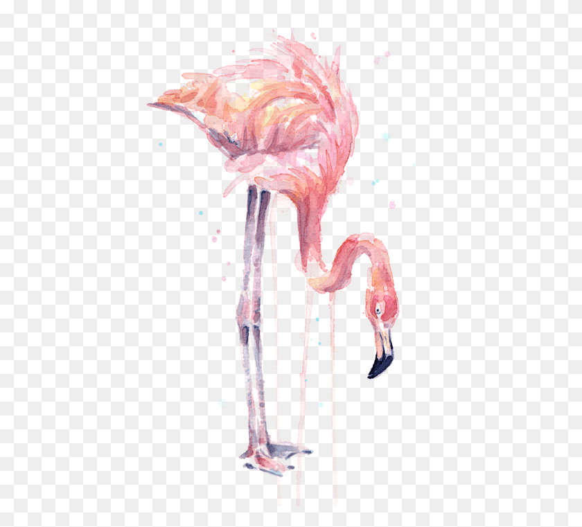 419x701 Vector Free Stock Illustration Watercolor Facing Left Acrylic Paint Acrylic Paintings Of Flamingos, Animal, Sea Life, Flamingo HD PNG Download
