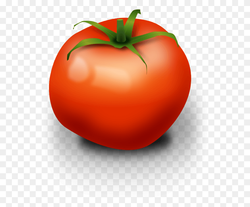 554x633 Vector Free Stock Vegetable Tomato Tomato Clip Art, Plant, Birthday Cake, Cake HD PNG Download