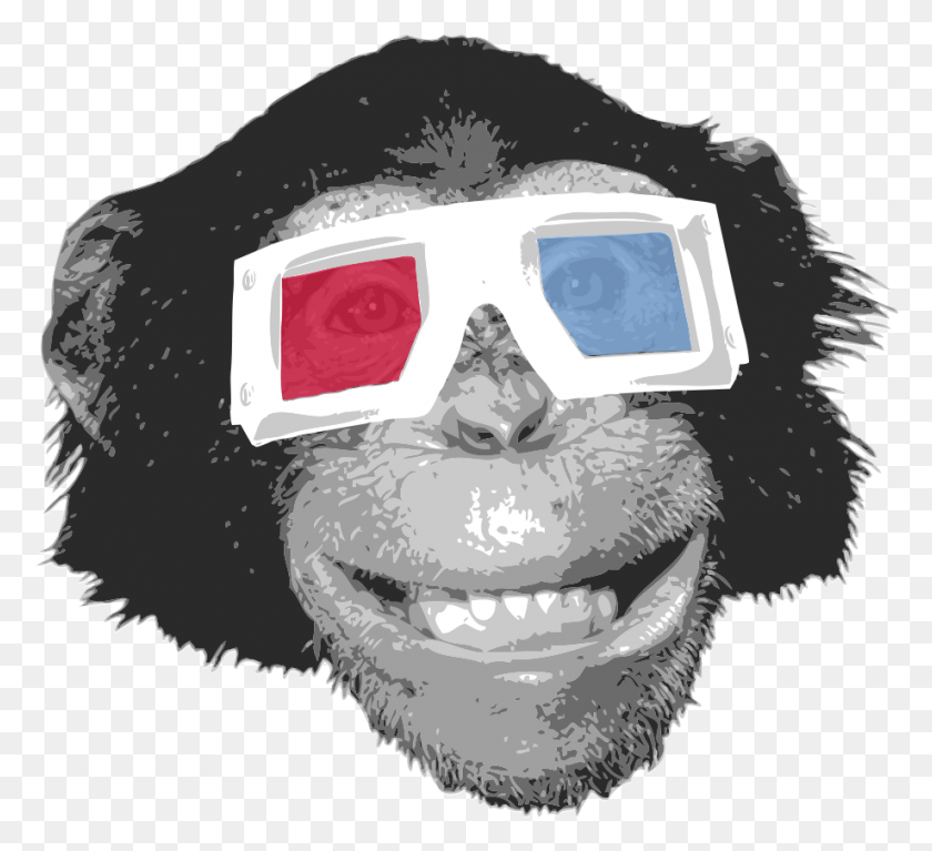 919x833 Descargar Png Vector Gorilla Orangután Chimpancé Gafas De Sol, Gafas, Accesorios, Accesorio Hd Png