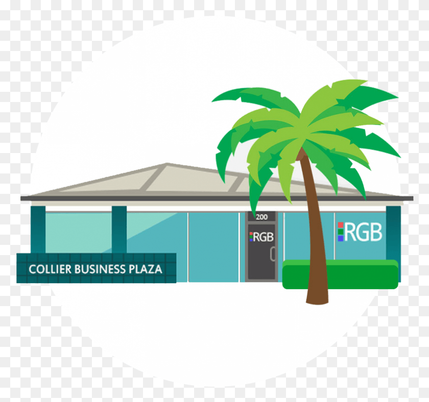 787x735 Vector Graphic Of Our Naples Florida Web Design Office Tropical Tree Clip Art, Plant, Palm Tree, Arecaceae HD PNG Download