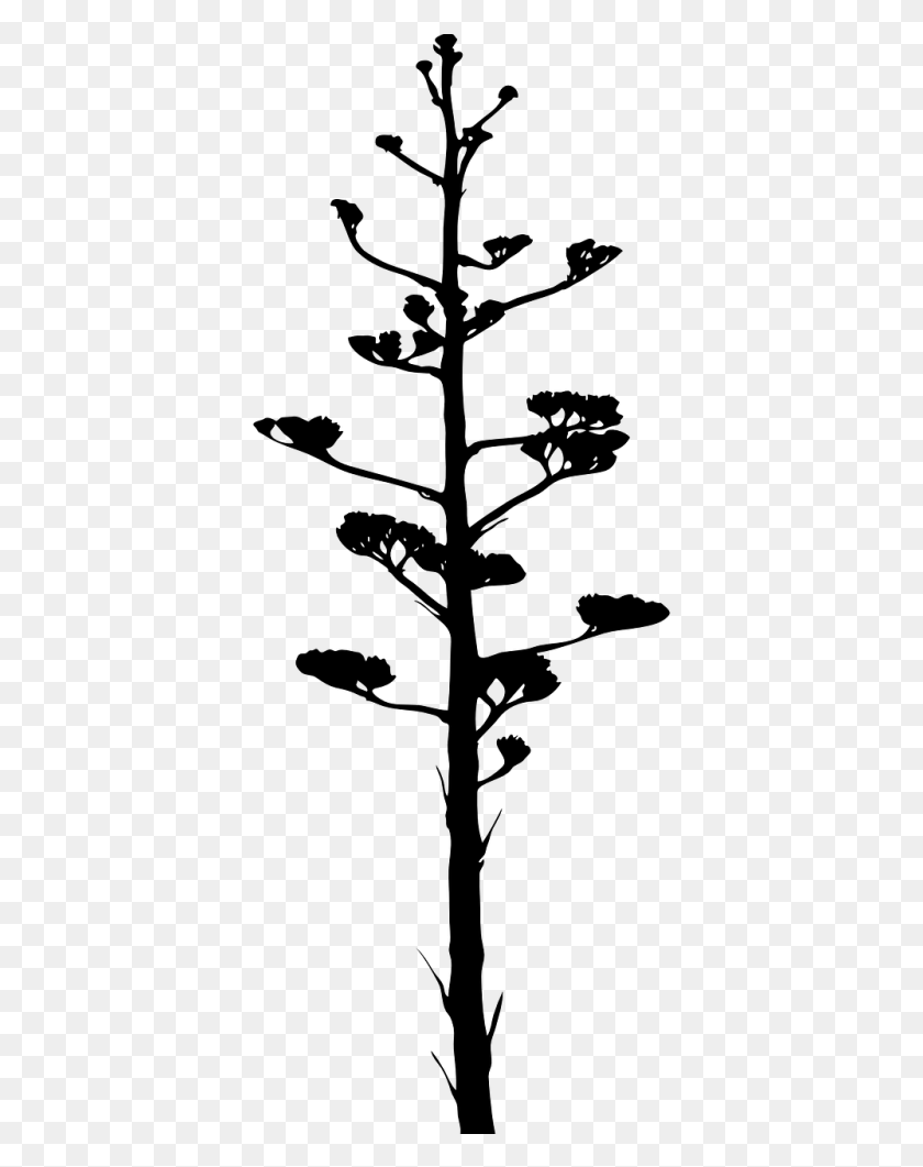 385x1001 Vector Graphics Agave Plant Silhouette, Gray, World Of Warcraft HD PNG Download