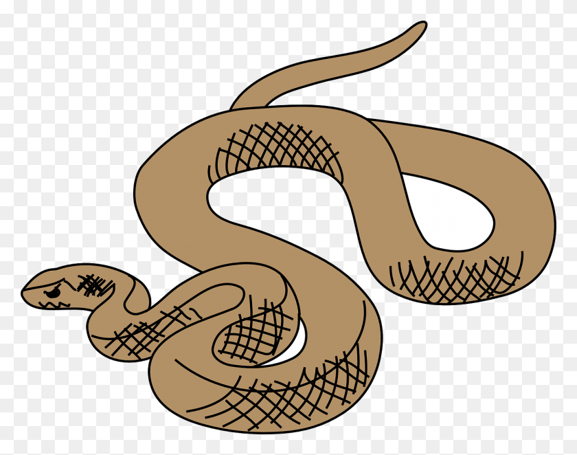 1280x989 Vector Graphics Brown Tree Snake Clipart, Reptile, Animal, Cobra HD PNG Download