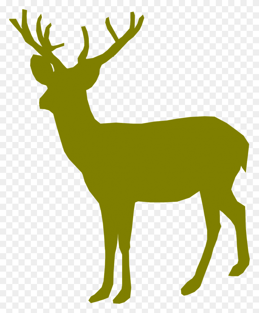 1046x1280 Vector Graphics Deer Green, Wildlife, Mammal, Animal HD PNG Download