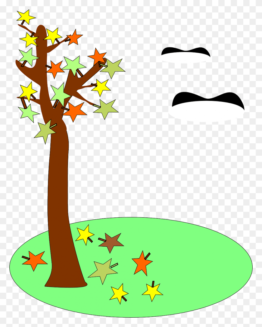 1008x1280 Осенняя Графика, Растение, Дерево, Лист Hd Png Скачать