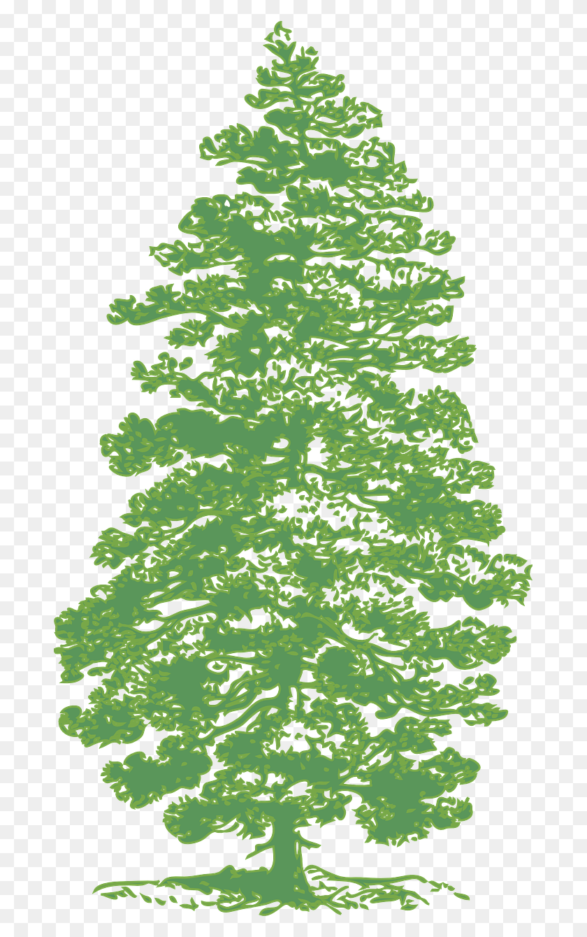 685x1280 Vector Graphics Tree Silhouette Green, Tree, Plant, Ornament HD PNG Download