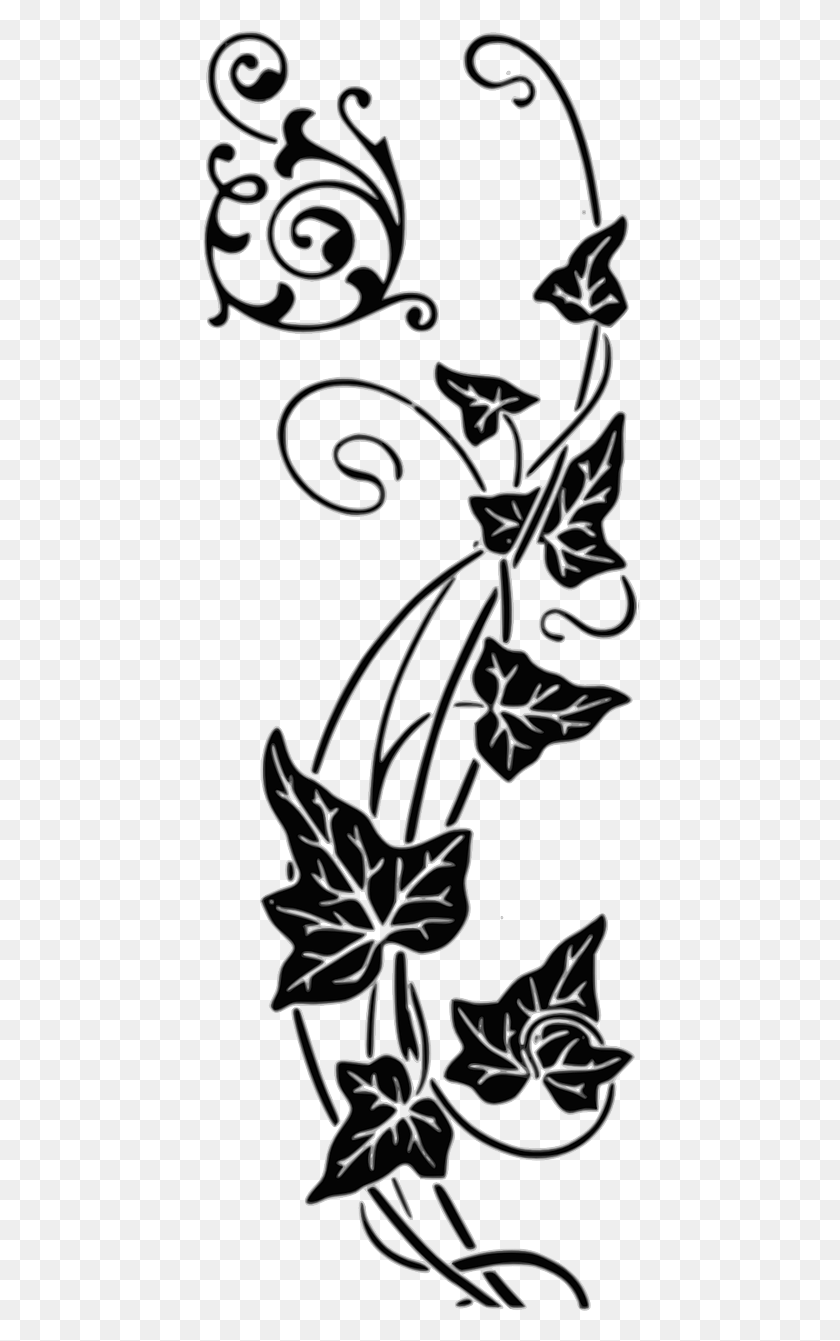 442x1281 Vector Graphicsfree Pictures Free Flower Vines Drawing Transparent, Graphics, Floral Design HD PNG Download