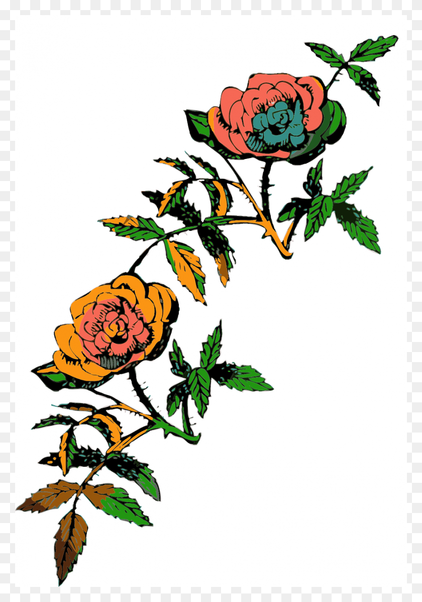 878x1280 Vector Graphicsfree Pictures Free Photos Rose Line Art, Plant, Potted Plant, Vase HD PNG Download