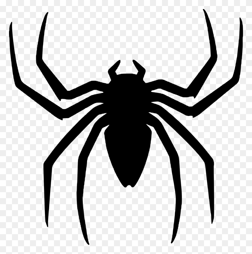1269x1280 Vector Graphicsfree Pictures Free Photos Spiderman Back Spider Logo, Gray, World Of Warcraft HD PNG Download