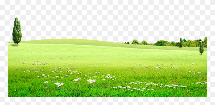 2001x901 Вектор Холмы Зеленое Поле Прозрачный Фон Природа, Трава, Растения, На Открытом Воздухе Hd Png Скачать