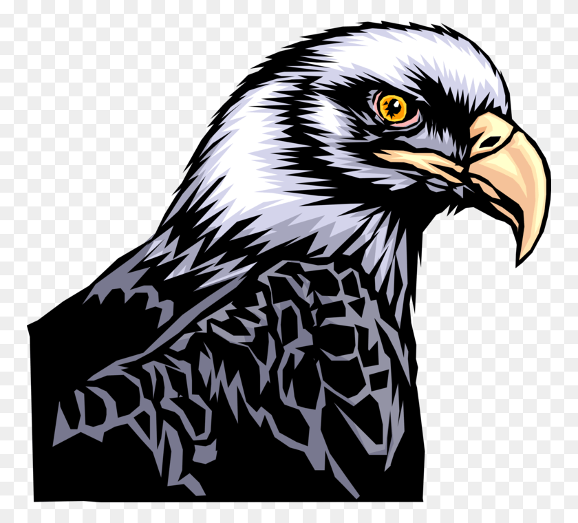 762x700 Vector Illustration Of American Bald Eagle National Art Eagle Beautiful, Bird, Animal, Zebra HD PNG Download