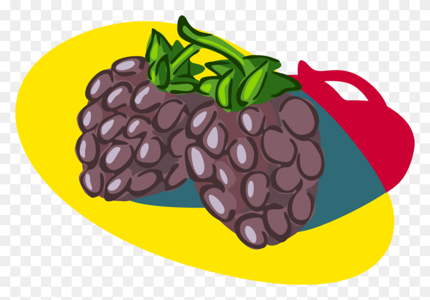 1038x700 Vector Illustration Of Bramble Fruit Blackberry Edible Illustration, Plant, Food, Grapes HD PNG Download