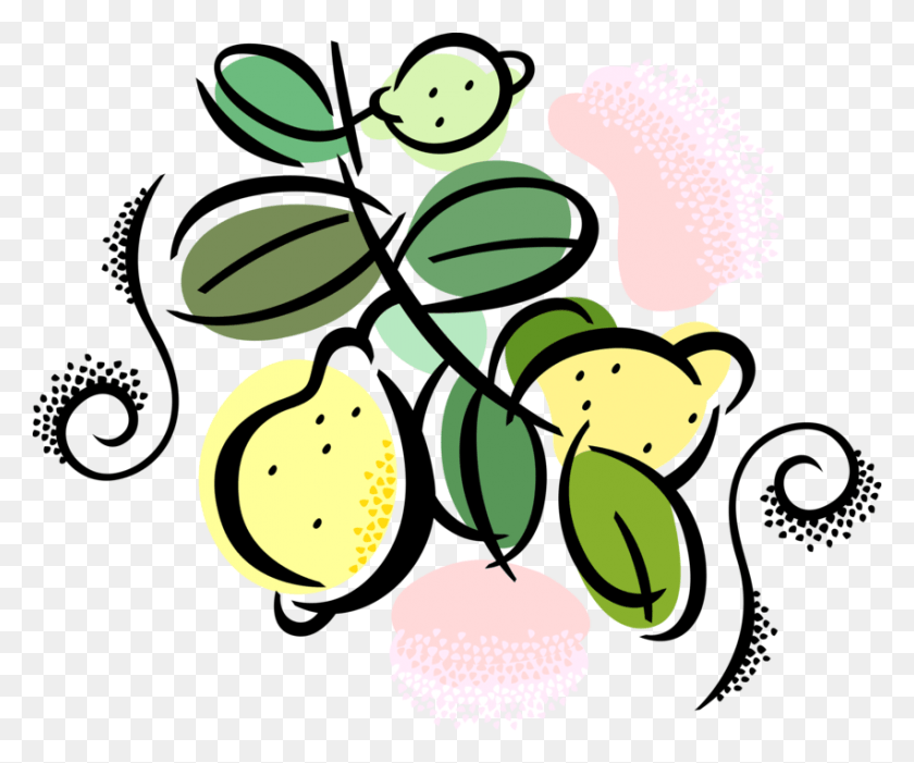 851x700 Vector Illustration Of Citrus Fruit Lemons Growing, Plant, Graphics HD PNG Download