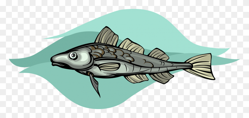 1618x700 Vector Illustration Of Cod Demersal Marine Fish Billfish, Animal, Shark, Sea Life HD PNG Download