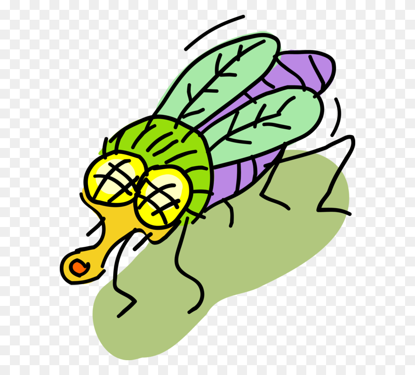 598x700 Vector Illustration Of Colorful Housefly Insect Fly Cartoon, Wasp, Bee, Invertebrate HD PNG Download