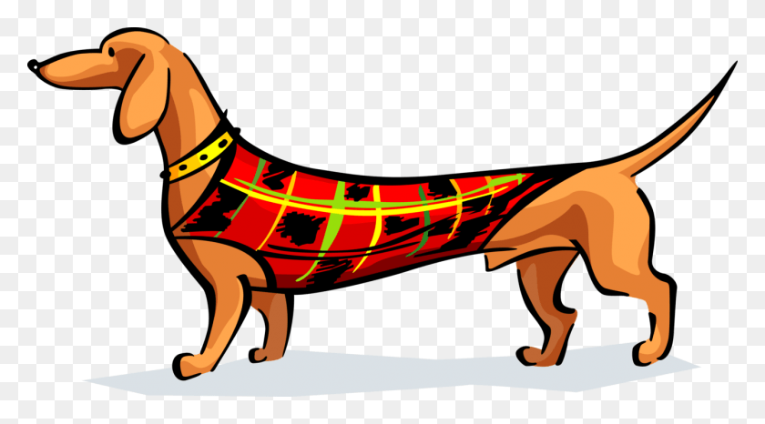 1342x700 Vector Illustration Of Dachshund Wiener Or Sausage, Animal, Reptile, Mammal HD PNG Download