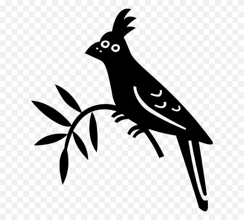 626x700 Vector Illustration Of Feathered Bird Sits On Tree Steller S Jay, Gray, World Of Warcraft HD PNG Download