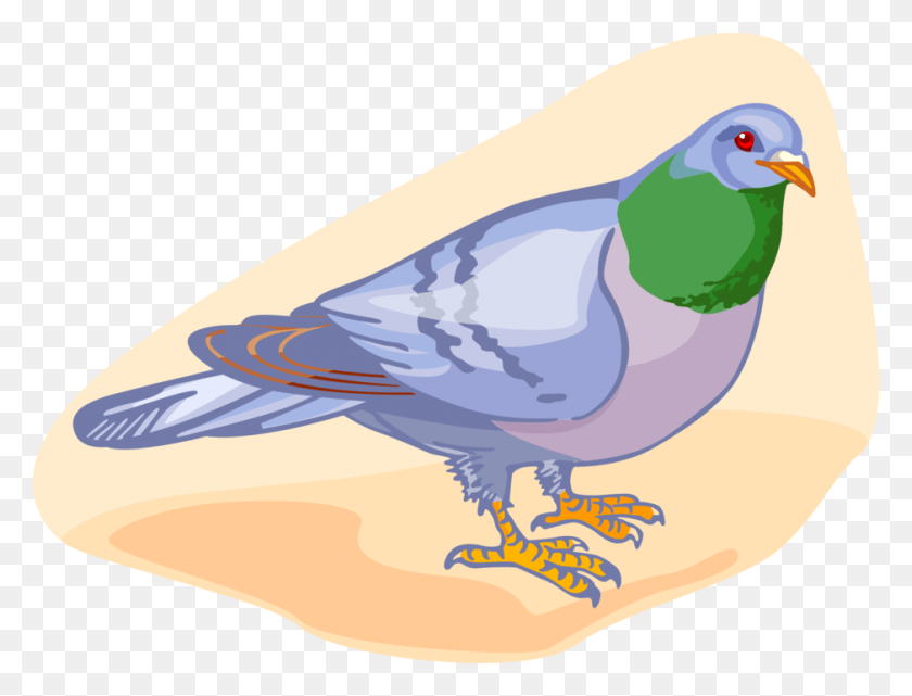 939x700 Vector Illustration Of Feathered Vertebrate Pigeon Partridge, Bird, Animal, Dove HD PNG Download