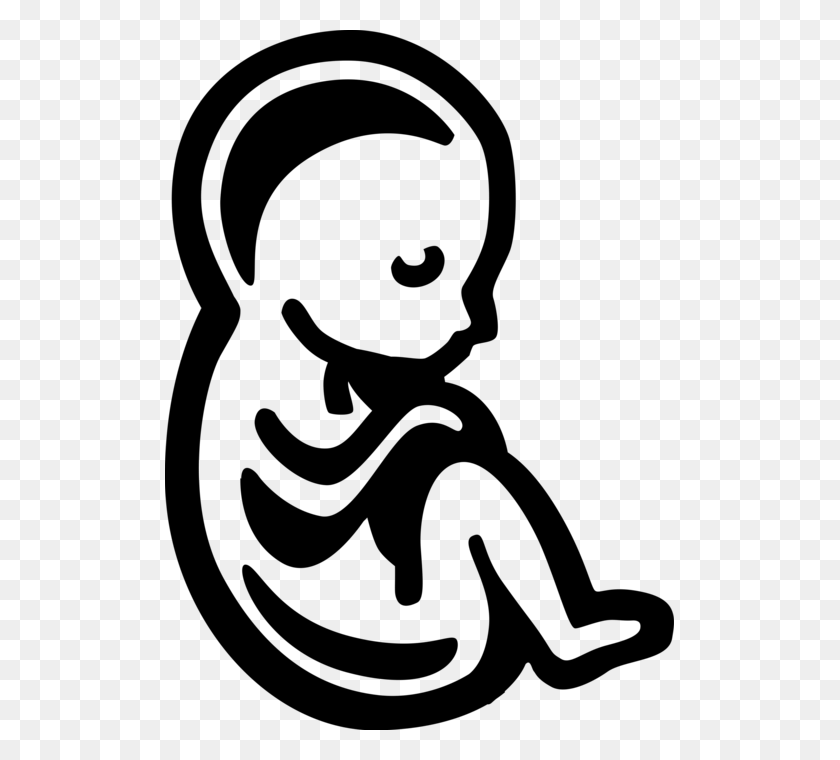 509x700 Vector Illustration Of Fetus Prenatal Human Between Fetus Clipart Transparent Background, Gray, World Of Warcraft HD PNG Download