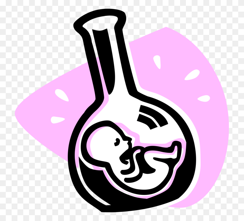 737x700 Vector Illustration Of Fetus Prenatal Human Between Test Tube Baby Clip Art, Plant, Label, Text HD PNG Download