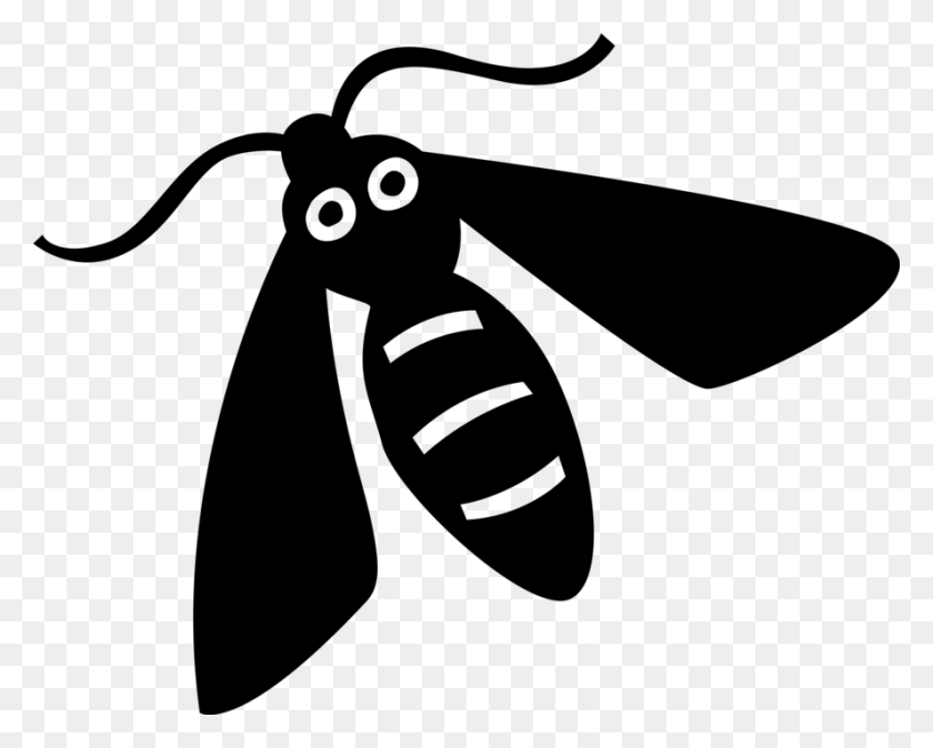 888x700 Vector Illustration Of Hornet Yellow Jacket Wasp Insect Net Winged Insects, Gray, World Of Warcraft HD PNG Download