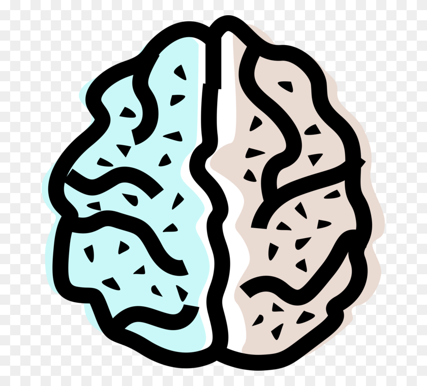 675x700 Vector Illustration Of Human Brain Left And Right Hemisphere, Text, Pattern HD PNG Download