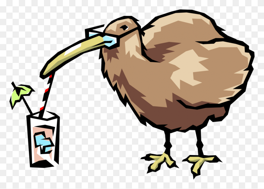 1008x700 Vector Illustration Of Kiwi Bird Drinking Through Straw Vector Graphics, Animal, Kiwi Bird, Beak HD PNG Download