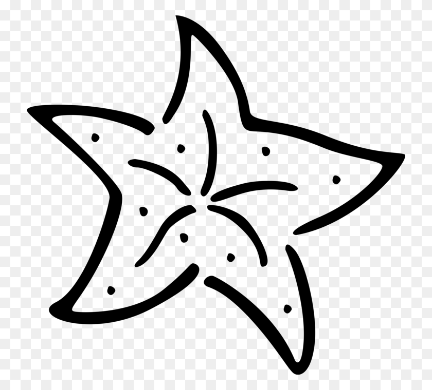 736x700 Векторная Иллюстрация Морских Беспозвоночных Морских Звезд Estrella De Mar Para Colorear, Серый, Мир Варкрафта Png Скачать