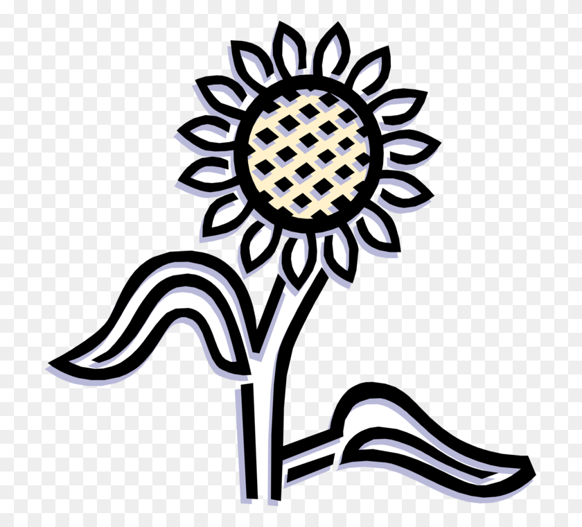 709x700 Vector Illustration Of Sunflower Flower Garden Plant, Graphics, Blossom HD PNG Download