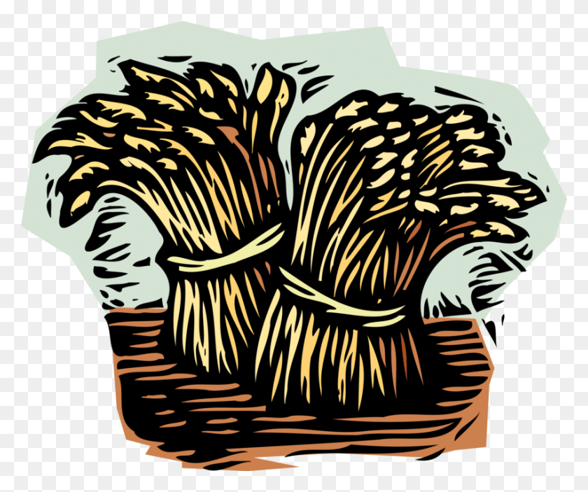 849x700 Vector Illustration Of Wheat Sheaves Sheaf Bundles Sheaves Of Wheat, Zebra, Wildlife, Mammal HD PNG Download