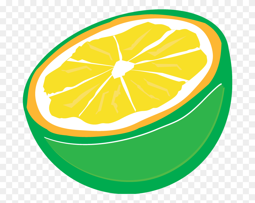 690x609 Vector Library Library Grapefruit Drawing Lemon Lime Cartoon, Citrus Fruit, Fruit, Plant HD PNG Download