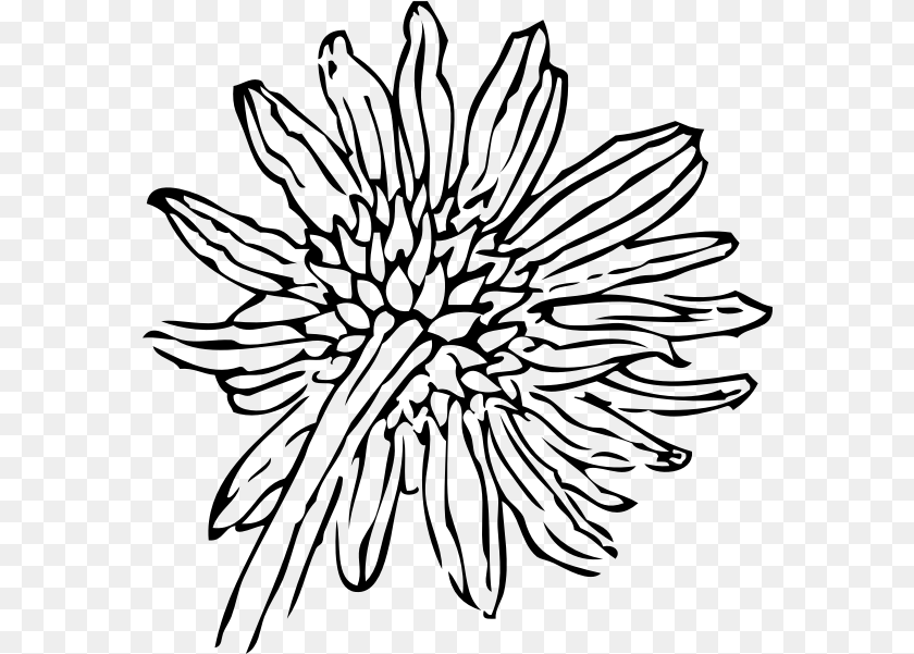 580x601 Vector Outline Sunflower Sunflower Clip Art, Gray Sticker PNG