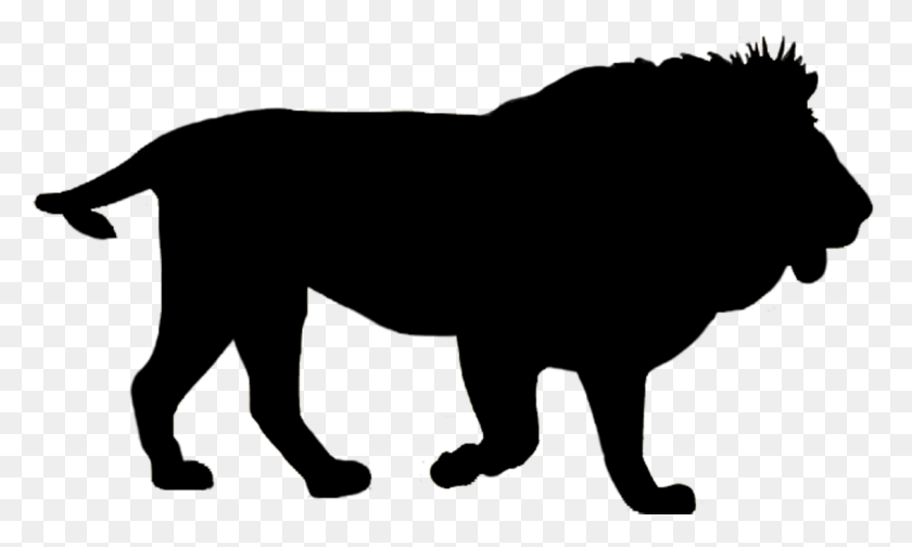 1135x647 Vector Transparent Collection Of High Quality Safari Animals Silhouette, Mammal, Animal, Wildlife HD PNG Download