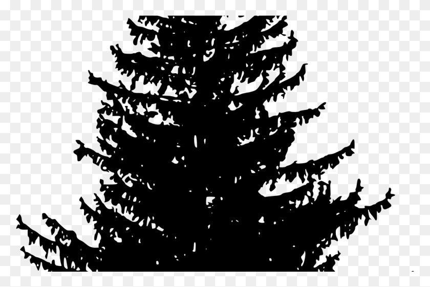 1332x856 Vector Trees For Free On Mbtskoudsalg Pine Trees Silhouette, Gray, World Of Warcraft HD PNG Download