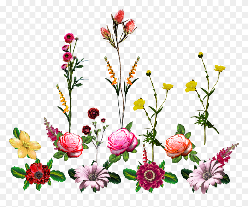 1496x1235 Descargar Png Flores Artificiales, Diseño Floral, Patrón, Gráficos Hd Png
