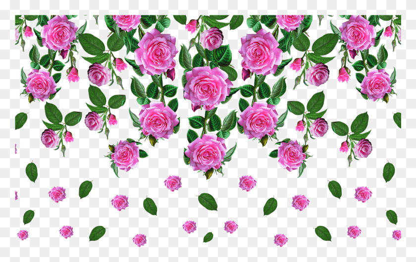 1501x906 Vectorflowervector Artflower Vectorvector Flower Floribunda, Plant, Rose, Blossom HD PNG Download