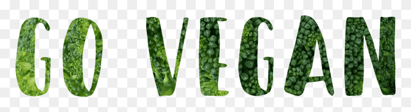 1607x351 Веганский Слоган Мотивационный Go Vegan Устойчивый Go Vegan Без Фона, Растения, Овощи, Еда Hd Png Скачать