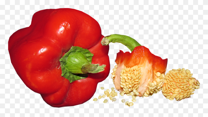 941x501 Vegetable Capsicum Seed Food Healthy Cooking Red Bell Pepper, Plant, Bell Pepper, Rose HD PNG Download