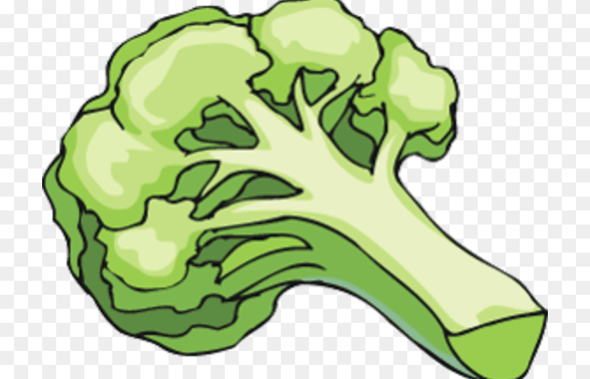 Vegetable Clip Art, Food, Produce, Broccoli, Plant PNG
