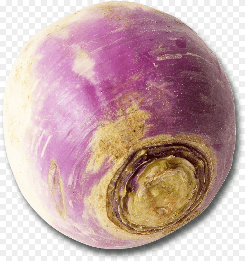 949x1013 Vegetable Turnip, Food, Rutabaga, Produce, Plant Transparent PNG