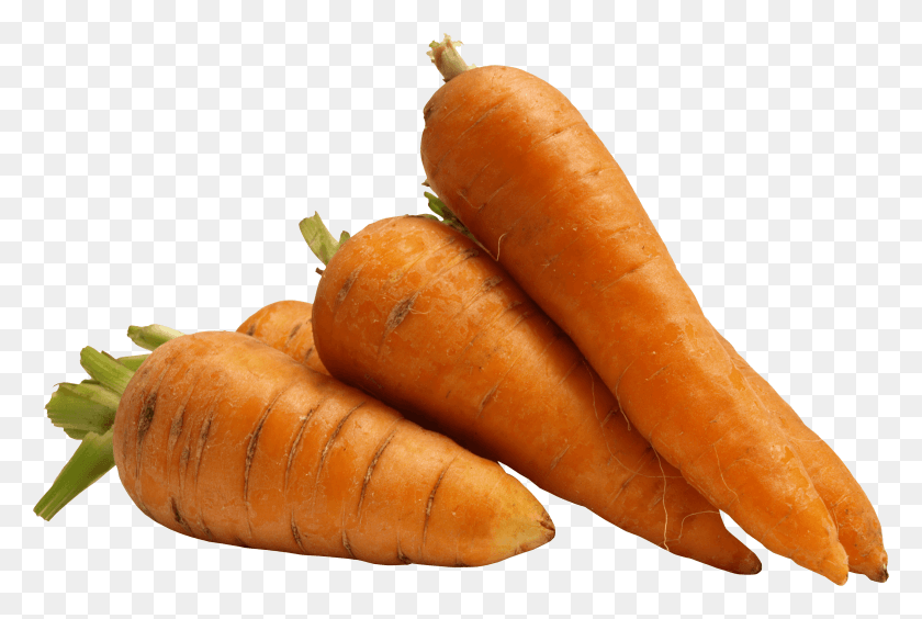 3000x1940 Vegetables Carrots Transparent, Plant, Carrot, Vegetable HD PNG Download