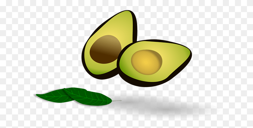 626x365 Vegetables Clipart Avocado Avocado, Plant, Fruit, Food HD PNG Download