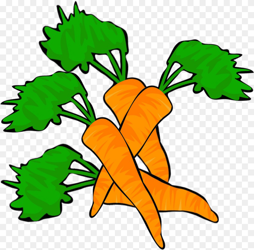 Vegetables Clipart Clip Art, Carrot, Food, Plant, Produce Transparent PNG
