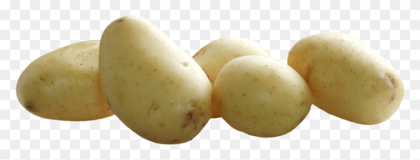 2120x711 Vegetables Images, Plant, Potato, Vegetable HD PNG Download