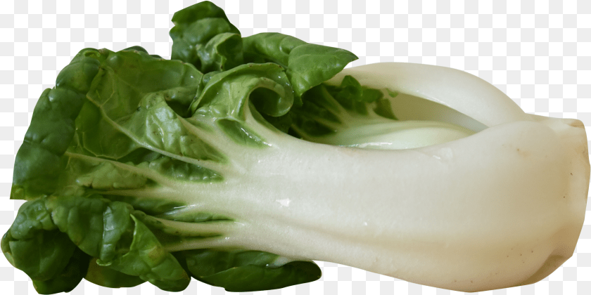 1682x842 Vegetables Images Bok Choy, Food, Leafy Green Vegetable, Plant, Produce PNG