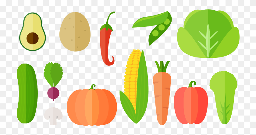 732x384 Овощи Векторные Иллюстрации Ampndash Free Basura Organica, Растение, Овощ, Еда Png Скачать