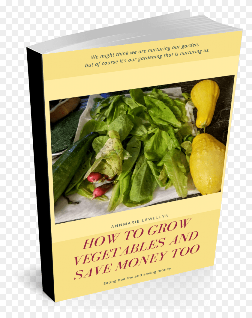 1213x1557 Veggie Ebook Chard, Plant, Produce, Food HD PNG Download