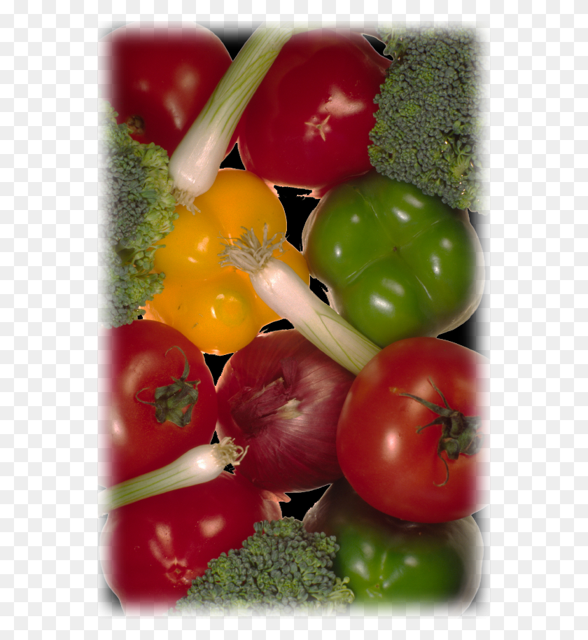 562x854 Veggies Plum Tomato, Plant, Vegetable, Food HD PNG Download