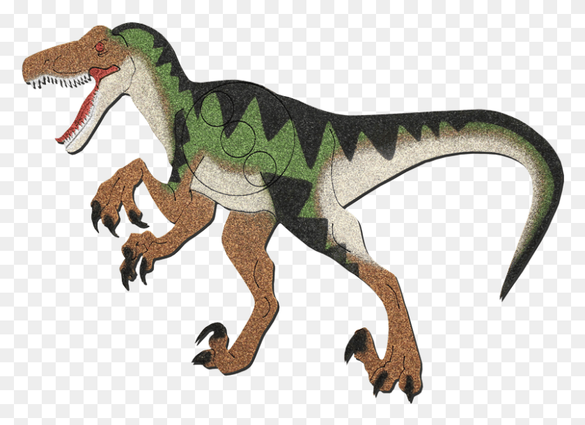 801x565 Velociraptor, Dinosaur, Reptile, Animal HD PNG Download