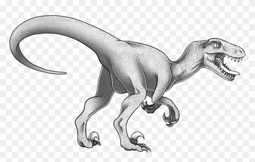 875x531 Velociraptor, Dinosaurio, Reptil, Animal Hd Png