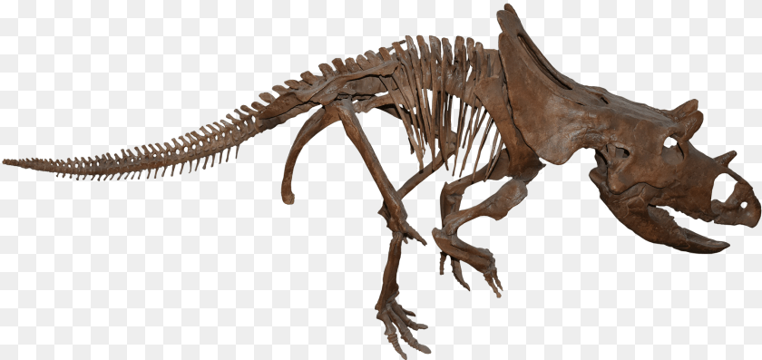 1920x907 Velociraptor, Animal, Dinosaur, Reptile, T-rex Sticker PNG